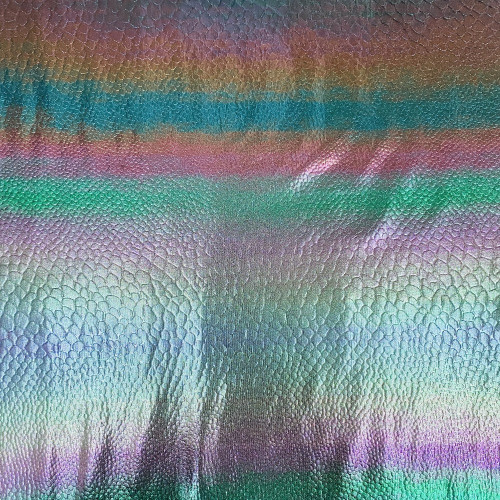 LICRA SERPIENTE ARCOIRIS